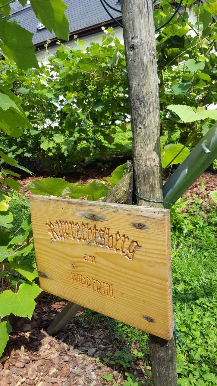 Hotel Wippertal - Voll Klimatisiert Bernburg Exteriér fotografie